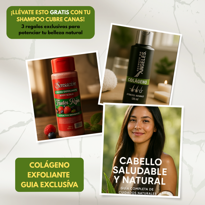 Shampoo Teste