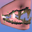 Spray Enjuegue Bucal para Mascotas🔥Apto para perros y gatos de cualquier edad